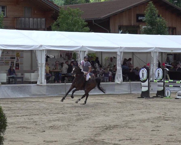 Reitturnier Kandersteg 2025