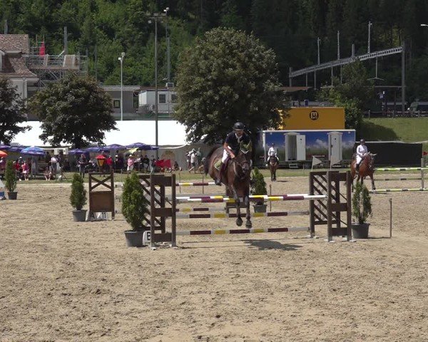 Reitturnier Kandersteg 2025