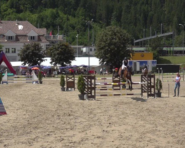 Reitturnier Kandersteg 2025