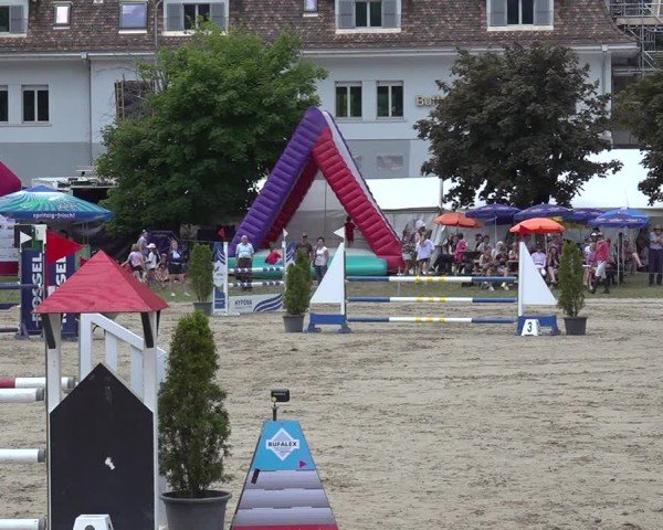 Reitturnier Kandersteg 2025