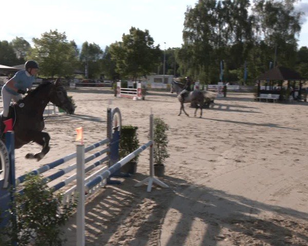 Reitturnier Münster-Roxel 2025
