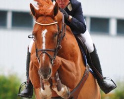 broodmare Duchesse de La Pomme (Belgian Warmblood, 2003, from Diamant de Semilly)
