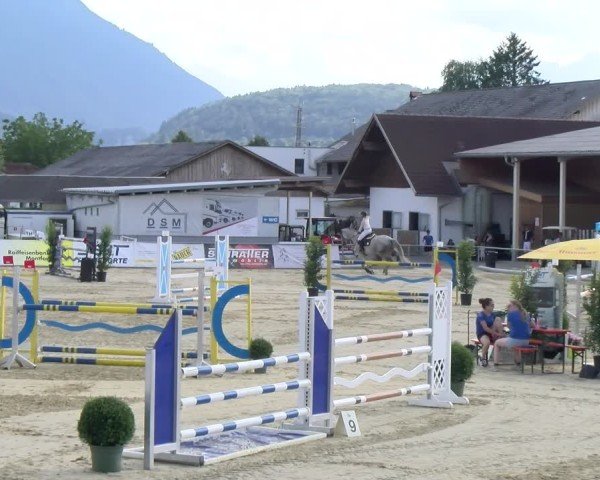 Reitturnier Rankweil 2025