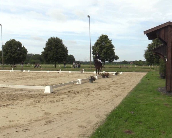 Reitturnier Münster-Roxel 2025