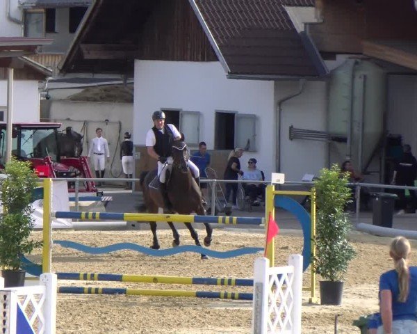 Reitturnier Rankweil 2025