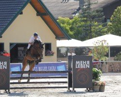jumper DON BALOU VON OBERWEIDEN Z (Zangersheide riding horse, 2018)