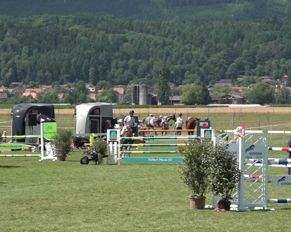 Reitturnier Büren an der Aare 2025