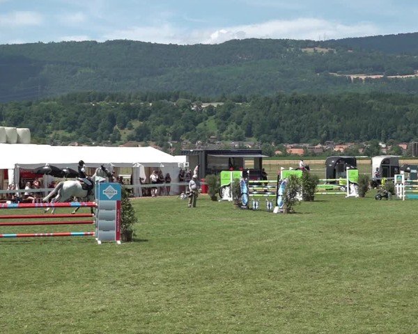 Reitturnier Büren an der Aare 2025
