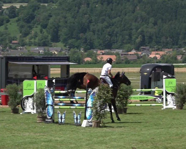 Reitturnier Büren an der Aare 2025