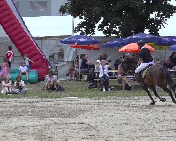 Reitturnier Kandersteg 2025