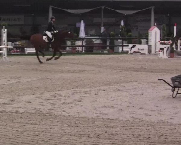 Großes Reit- und Springturnier Kirchhellen/Stall Dieckmann 2014
