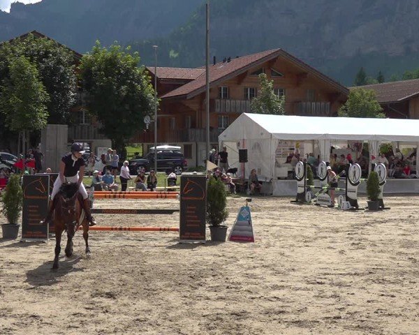 Reitturnier Kandersteg 2025