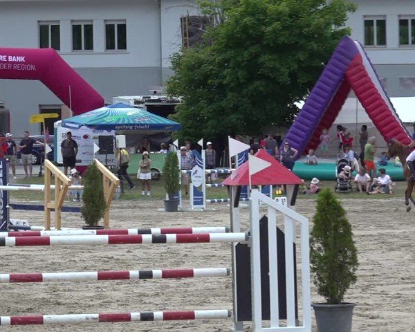 Reitturnier Kandersteg 2025
