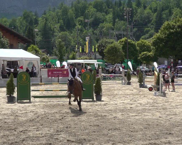 Reitturnier Kandersteg 2025