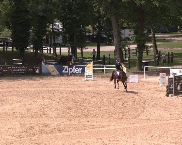 Reitturnier Stadl-Paura 2025