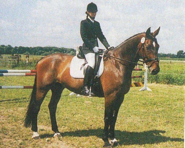 dressage horse Lord of Liberty (Holsteiner, 1992, from Lord Calando)