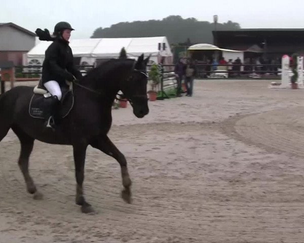 Großes Reit- und Springturnier Kirchhellen/Stall Dieckmann 2014