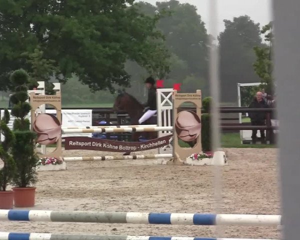 Großes Reit- und Springturnier Kirchhellen/Stall Dieckmann 2014