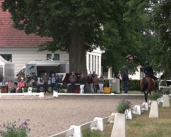 Reitturnier Redefin 2025