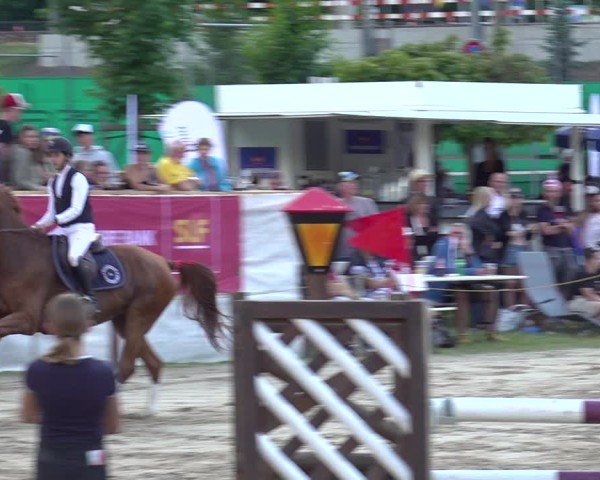 Reitturnier Kandersteg 2025