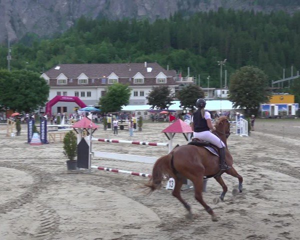 Reitturnier Kandersteg 2025