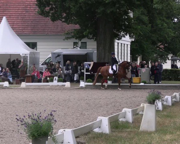 Reitturnier Redefin 2025