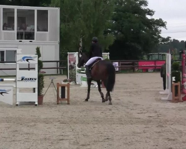 Großes Reit- und Springturnier Kirchhellen/Stall Dieckmann 2014