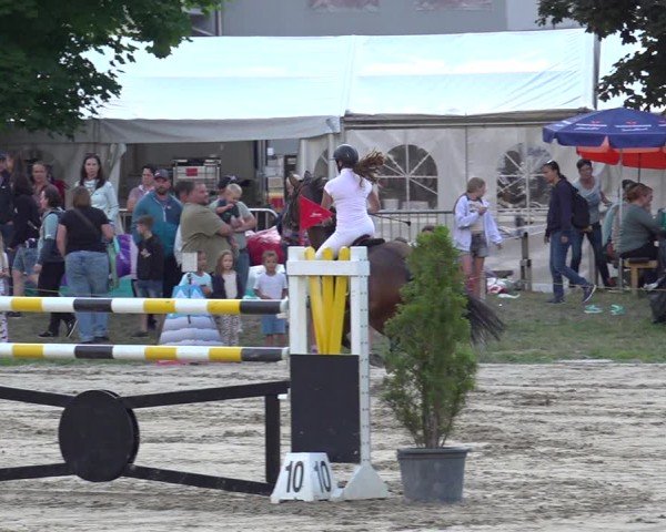 Reitturnier Kandersteg 2025