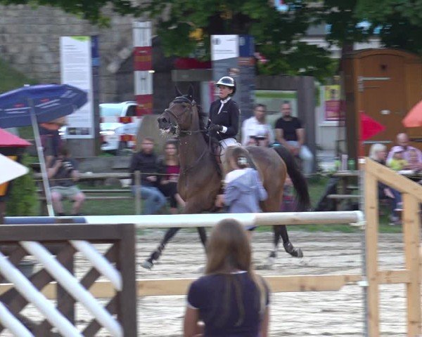 Reitturnier Kandersteg 2025