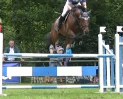 broodmare Canturana in Red R (Hanoverian, 2008, from Canturano I)