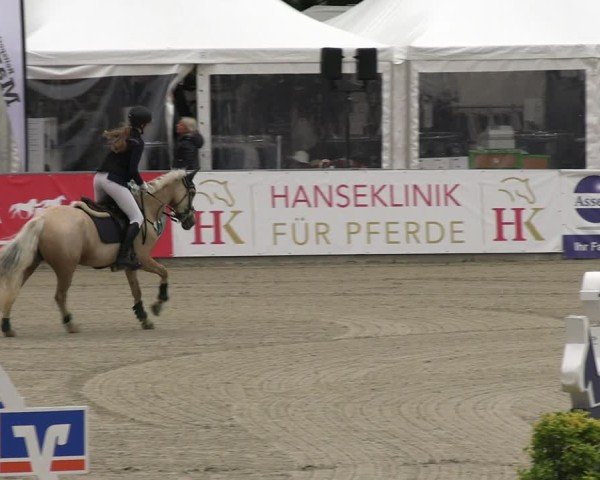 Reitturnier Redefin 2025