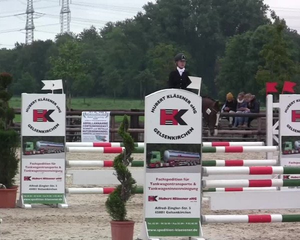 Großes Reit- und Springturnier Kirchhellen/Stall Dieckmann 2014