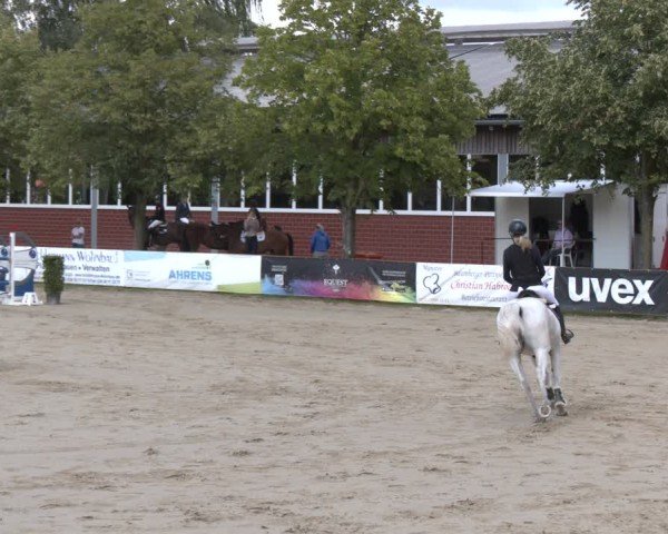 Reitturnier Münster-Roxel 2025