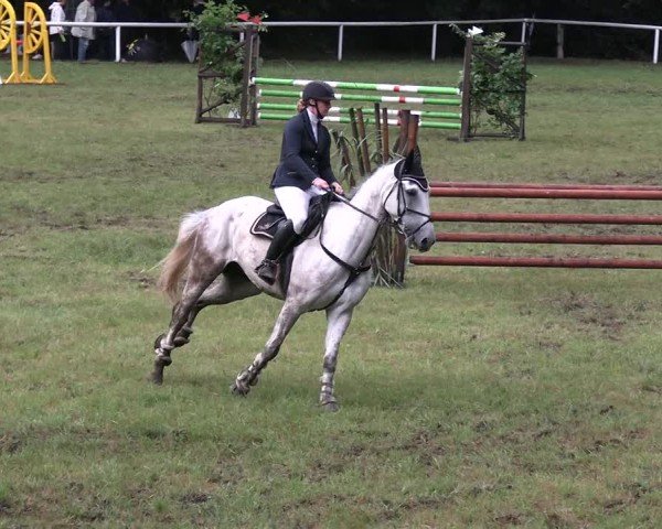 Reitturnier Gorgast 2025