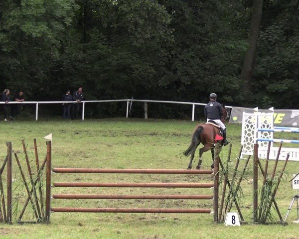 Reitturnier Gorgast 2025
