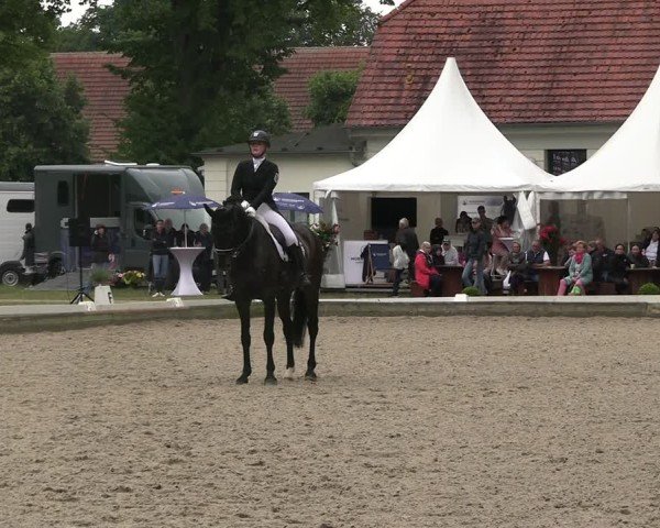 Reitturnier Redefin 2025