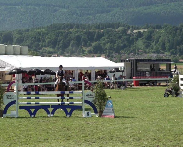 Reitturnier Büren an der Aare 2025