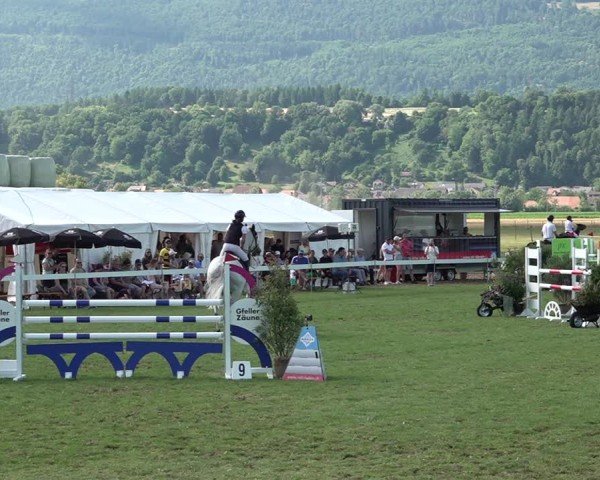 Reitturnier Büren an der Aare 2025