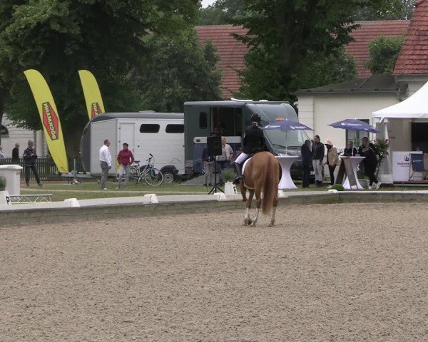Reitturnier Redefin 2025