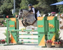 jumper USHA BLUE Z (Zangersheide riding horse, 2019, from Untouchable)