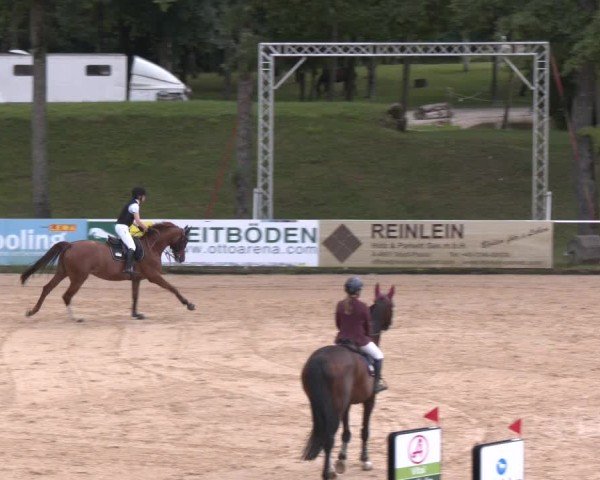 Reitturnier Stadl-Paura 2025