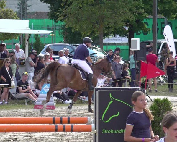 Reitturnier Kandersteg 2025