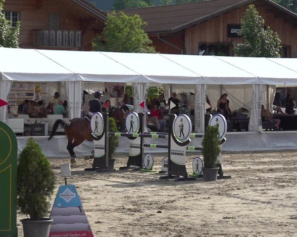 Reitturnier Kandersteg 2025