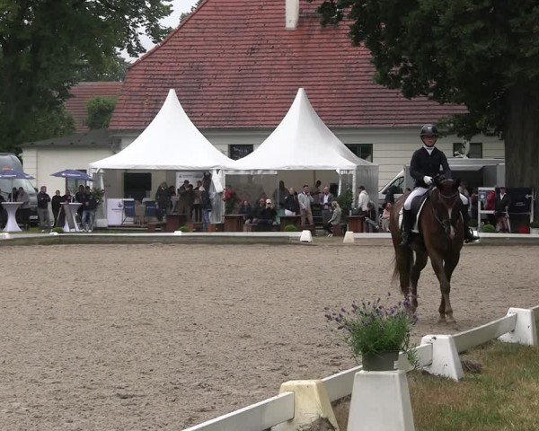 Reitturnier Redefin 2025