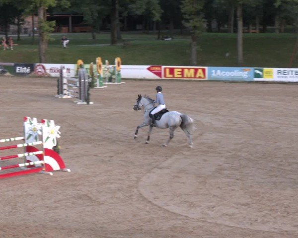 Reitturnier Stadl-Paura 2025