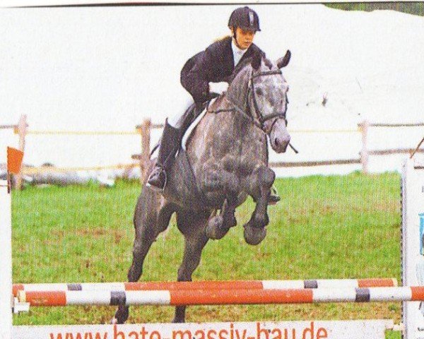 horse Gettysburg 3 (Hanoverian, 2001, from Gibraleon)