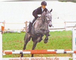 horse Gettysburg 3 (Hanoverian, 2001, from Gibraleon)