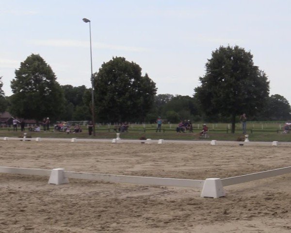Reitturnier Münster-Roxel 2025