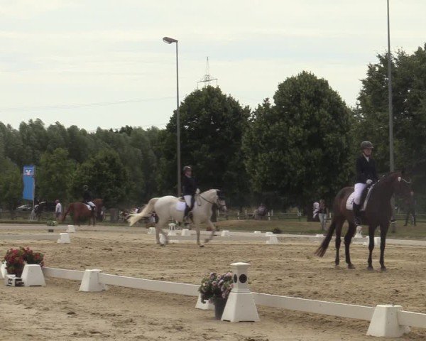 Reitturnier Münster-Roxel 2025