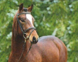 dressage horse Schierensees Heart And Soul (German Riding Pony, 2005, from Crown Hartbreaker)